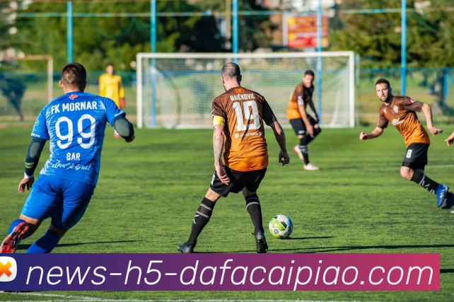 大发彩票APP 封面图